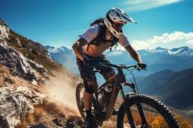 鲍队：来支持了助攻回礼了解一下 🏆❤️